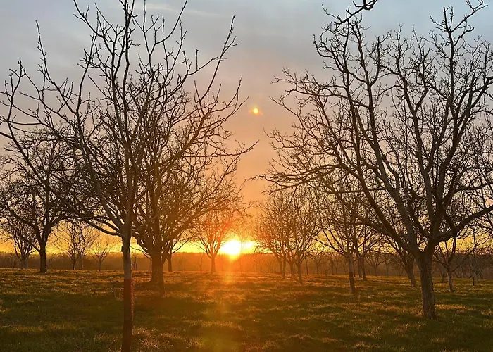 Σπίτι διακοπών Ancien Musee De La Noix *